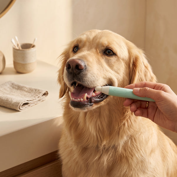 Brush on Duty™ Pet Toothbrush Pen — 360° Triple-Angle Silicone Dog Toothbrush with One-Hand Paste Button, Gentle Gum Massage