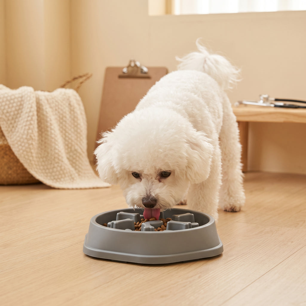 Cora's Petlife Slow Feeder Bowl - lifestyle scene