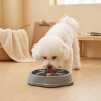 Cora's Petlife Slow Feeder Bowl - lifestyle scene