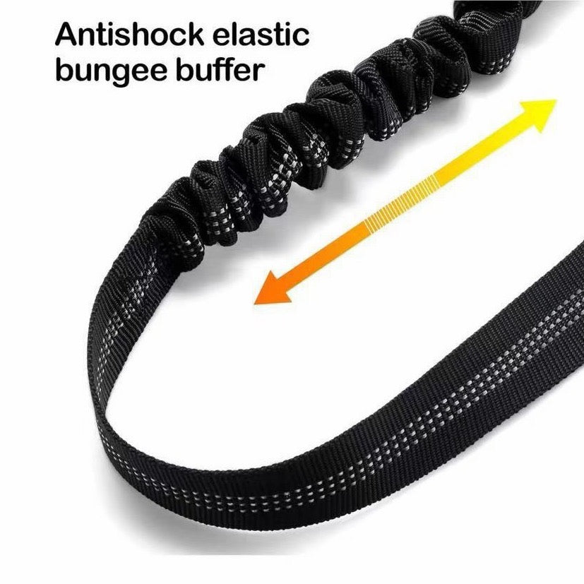 Anti shock elastic bungee buffer detail on leash
