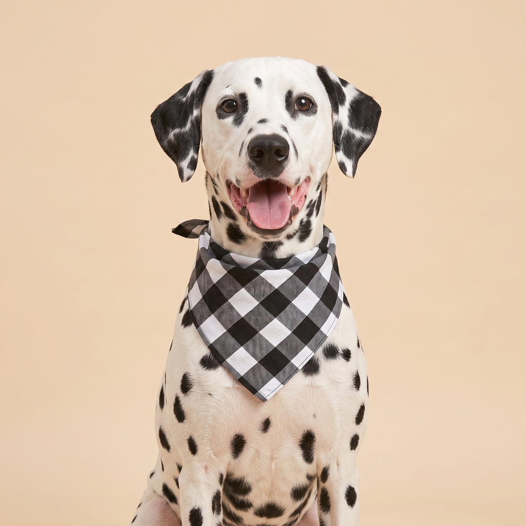 Cora's Petlife Dog Bandana 3-Pack - Black/White color option