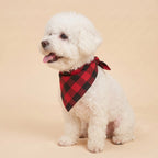 Cora's Petlife Dog Bandana 3-Pack - side view