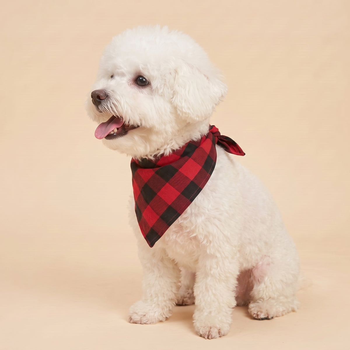 Cora's Petlife Dog Bandana 3-Pack - side view
