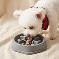Cora's Petlife Slow Feeder Bowl - main view