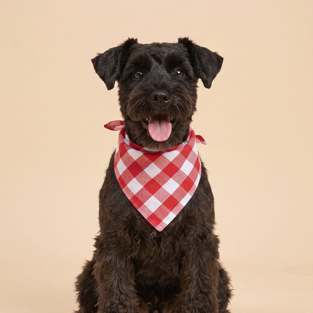 Cora's Petlife Dog Bandana 3-Pack - Red/White color option