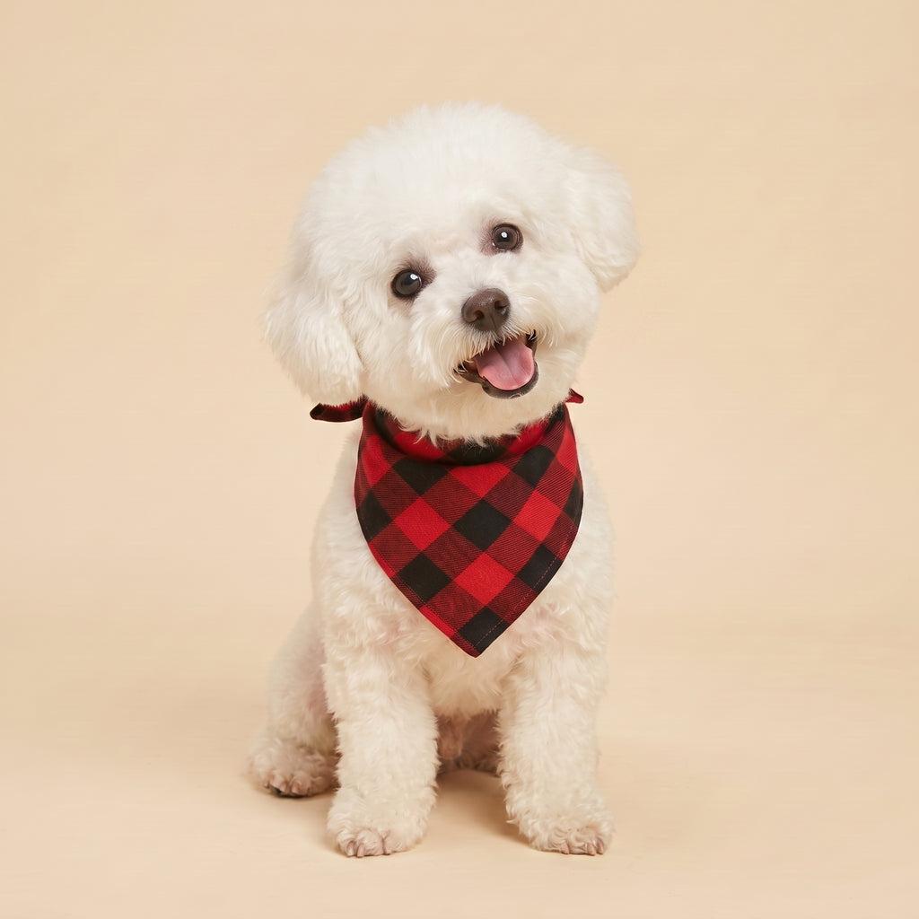 Cora's Petlife Dog Bandana 3-Pack - main view