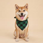 Cora's Petlife Dog Bandana 3-Pack - Green/Black color option