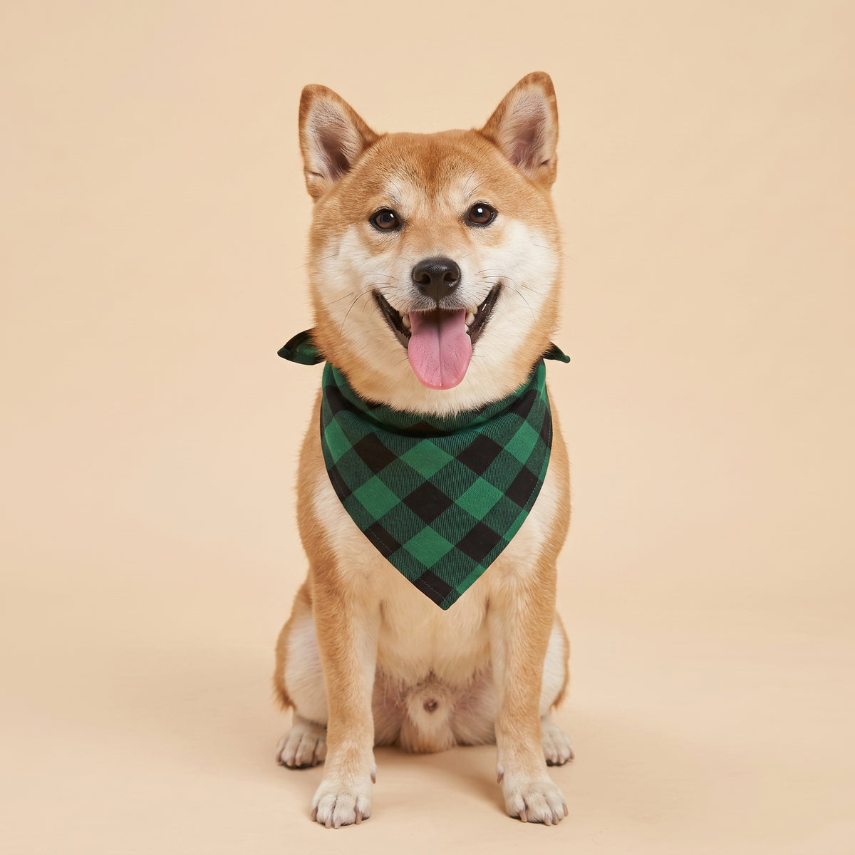 Cora's Petlife Dog Bandana 3-Pack - Green/Black color option