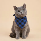 Cora's Petlife Dog Bandana 3-Pack - Blue/Black color option