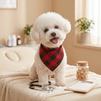 Cora's Petlife Dog Bandana 3-Pack - lifestyle scene