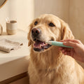 Pet Toothbrush Pen for Dogs & Cats